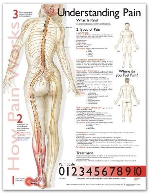 Understanding Pain Anatomical Chart