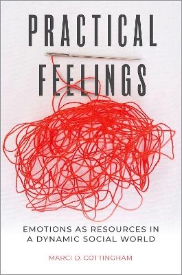 Practical Feelings - Marci D. Cottingham