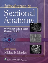 Introduction to Sectional Anatomy Workbook and Board Review Guide - Madden, Michael
