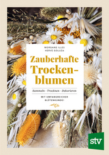 Zauberhafte Trockenblumen - Morgane Illes, Hervé Goluza