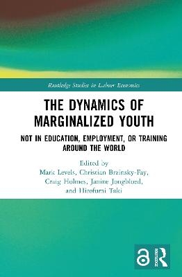 The Dynamics of Marginalized Youth - 