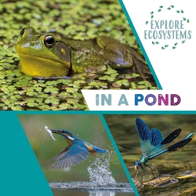 Explore Ecosystems: In a Pond - Sarah Ridley