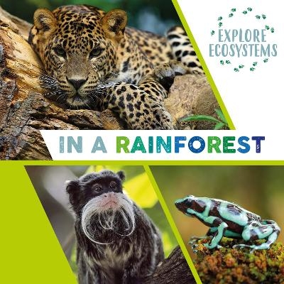 Explore Ecosystems: In a Rainforest - Sarah Ridley