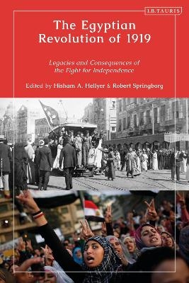 The Egyptian Revolution of 1919 - 