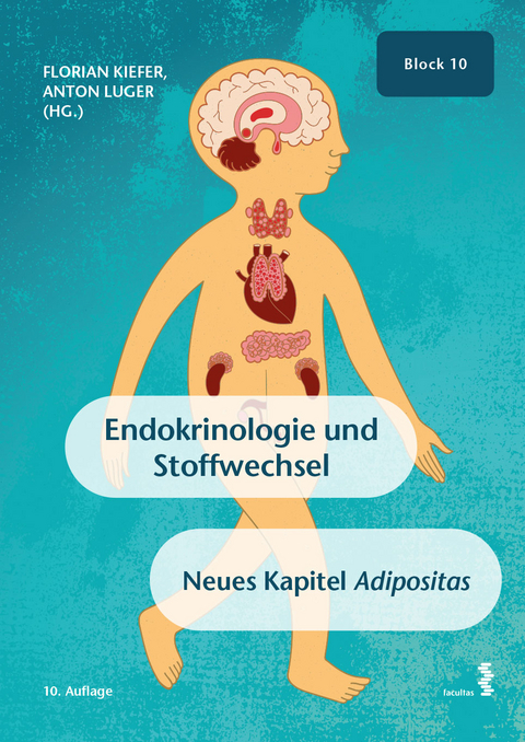 Endokrinologie und Stoffwechsel - 