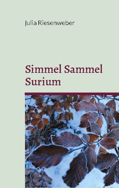 Simmel Sammel Surium - Julia Riesenweber