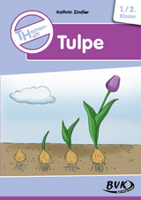 Themenheft Tulpe - Kathrin Zindler