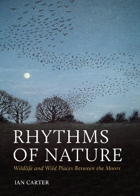 Rhythms of Nature - Ian Carter