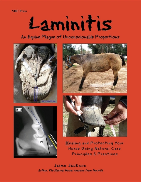 Laminitis: An Equine Plague of Unconscionable Proportions - Jaime Jackson