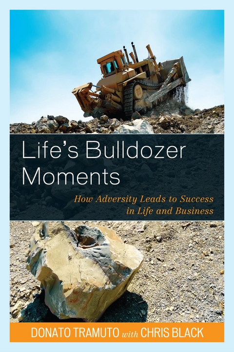 Life's Bulldozer Moments -  Donato Tramuto