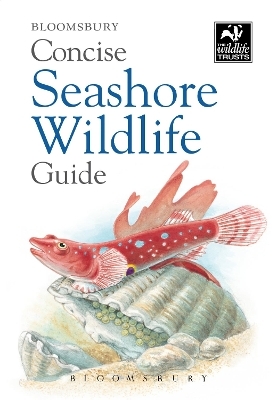 Concise Seashore Wildlife Guide -  Bloomsbury