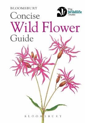 Concise Wild Flower Guide -  Bloomsbury