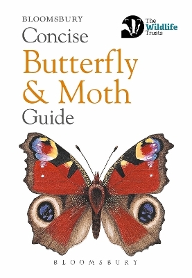 Concise Butterfly and Moth Guide -  Bloomsbury