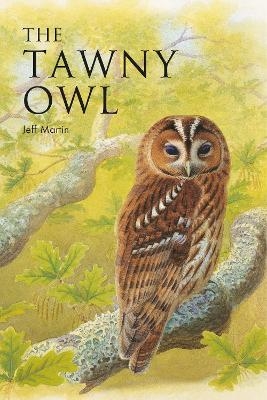 The Tawny Owl - Mr Jeff Martin