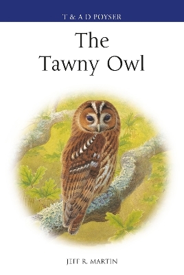 The Tawny Owl - Mr Jeff Martin