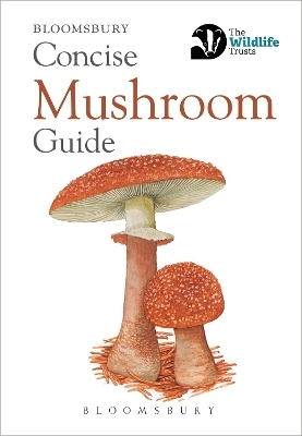 Concise Mushroom Guide -  Bloomsbury