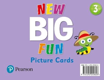 New Big Fun - (AE) - 2nd Edition (2019) - Picture Cards - Level 3