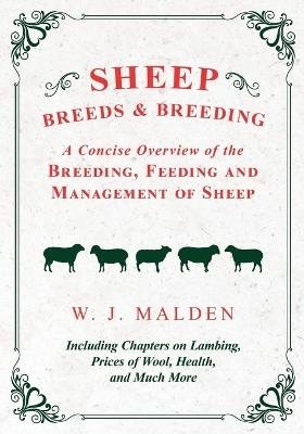 Sheep Breeds and Breeding - A Concise Overview of the Breeding, Feeding and Management of Sheep, Including Chapters on Lambing, Prices of Wool, Health, and Much More - W J Malden