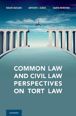 Common Law and Civil Law Perspectives on Tort Law - Mauro Bussani, Anthony Sebok, Marta Infantino