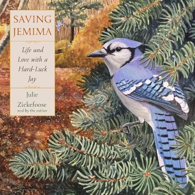 Saving Jemima - Julie Zickefoose