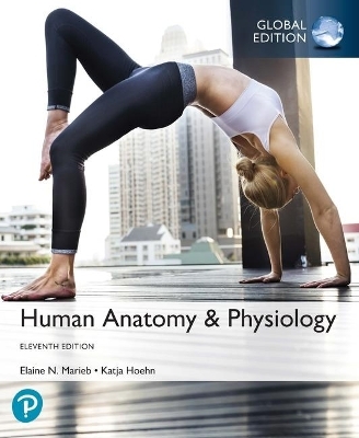Human Anatomy & Physiology, Global Edition - Elaine Marieb, Katja Hoehn