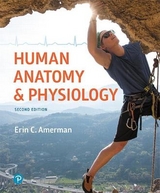 Human Anatomy & Physiology - Amerman, Erin