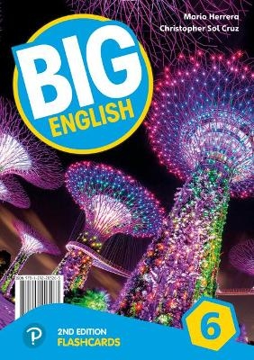 Big English AmE 2nd Edition 6 Flashcards