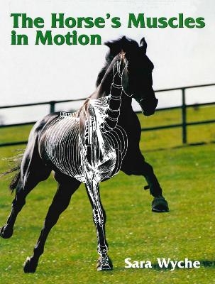 Horse's Muscles in Motion - Sara Wyche