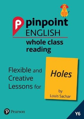 Pinpoint English Whole Class Reading Y6: Holes - Rachel Axten-Higgs