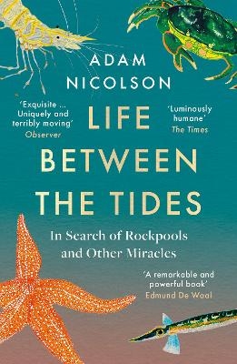 Life Between the Tides - Adam Nicolson