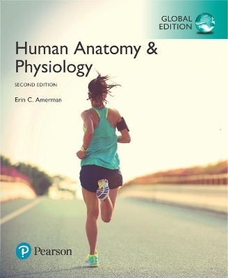 Human Anatomy & Physiology, Global Edition + Mastering A&P with Pearson eText - Erin Amerman