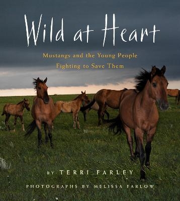 Wild at Heart: Mustangs and the Young People Fighting to Save Them - Terri Farley