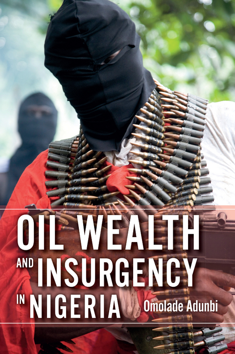 Oil Wealth and Insurgency in Nigeria -  Omolade Adunbi
