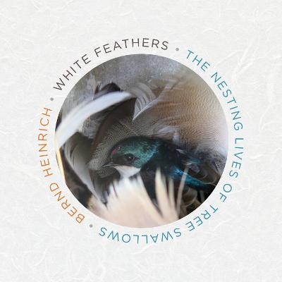 White Feathers - Bernd Heinrich