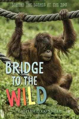 Bridge to the Wild: Behind the Scenes at the Zoo - Caitlin O'Connell