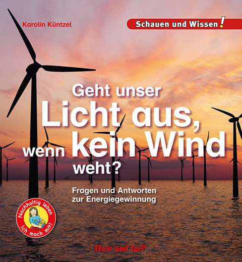 Geht unser Licht aus, wenn kein Wind weht? - Karolin Küntzel