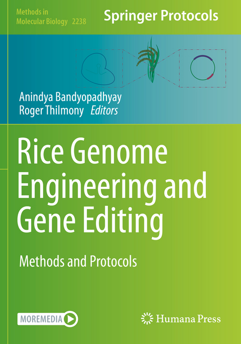 Rice Genome Engineering and Gene Editing - 