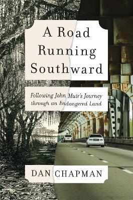 A Road Running Southward - Dan Chapman