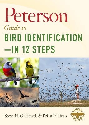 Peterson Guide To Bird Identification?çöin 12 Steps - Steve N. G. Howell