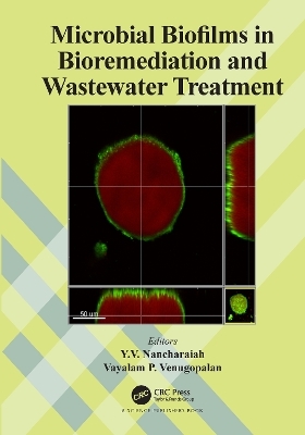 Microbial Biofilms in Bioremediation and Wastewater Treatment - 