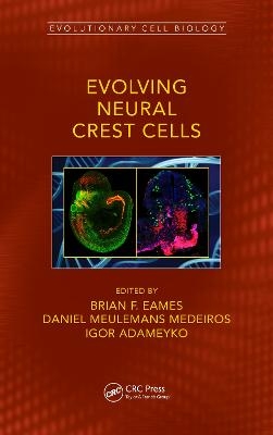 Evolving Neural Crest Cells - 