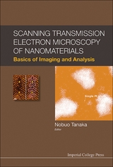 SCAN TRANSMISS ELECTR MICROSCO NANOMATER - Nobuo Tanaka