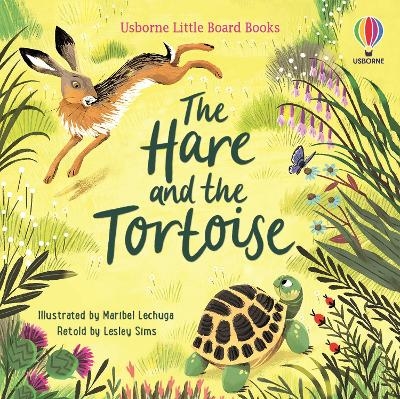 The Hare and the Tortoise - Lesley Sims