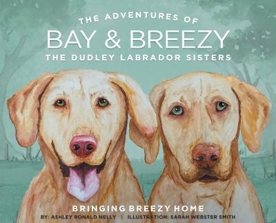 The Adventures of Bay and Breezy - Ashley Ronald Nelly