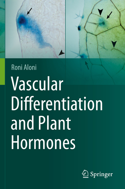 Vascular Differentiation and Plant Hormones - Roni Aloni