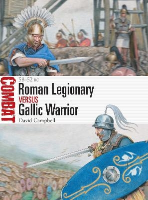 Roman Legionary vs Gallic Warrior - David Campbell