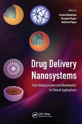Drug Delivery Nanosystems - 