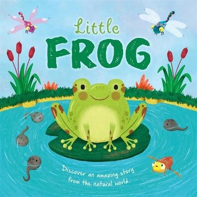 Little Frog -  Autumn Publishing