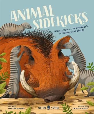 Animal Sidekicks - Macken Neon Squid,  Murphy