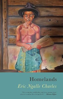 Homelands - Eric Ngalle Charles